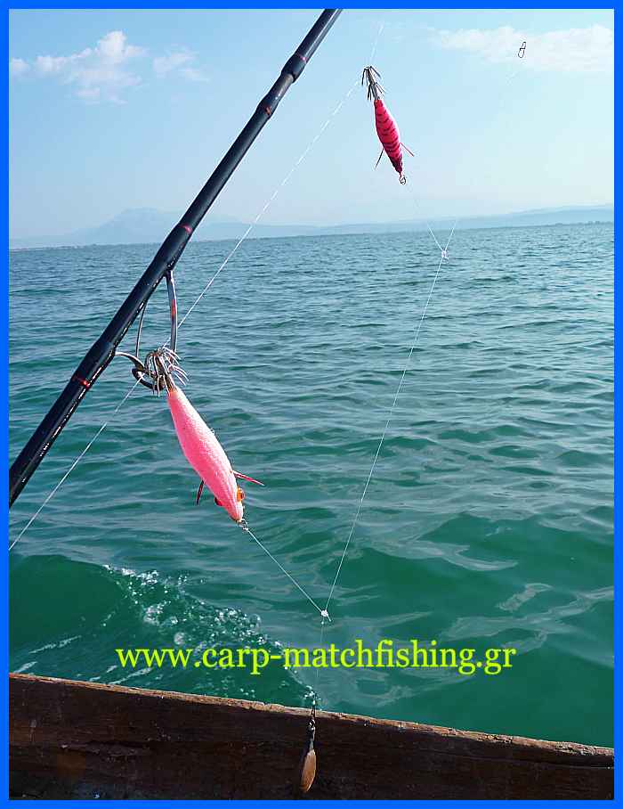www.carp-matchfishing.gr. To ψάρεμα της σουπιάς με την τεχνική του eging