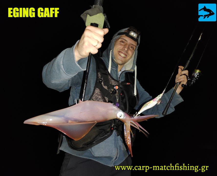 eging gaff gantzos gia kalamaria squid carpmatchfishing