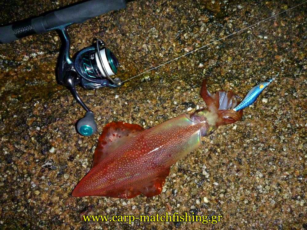 eging-rods-end-reels-squid-equipment-carpmatchfishing