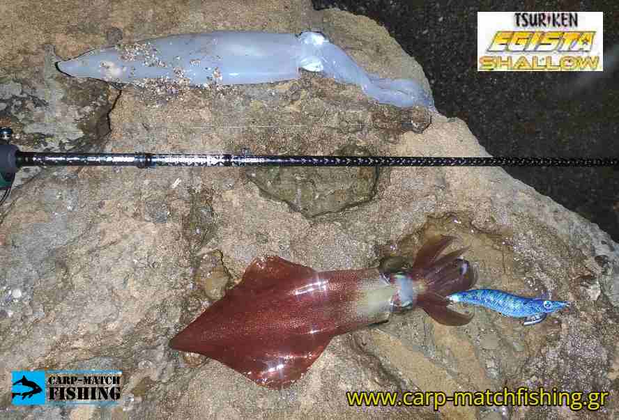 blue keimura tsuriken egista shallow eging carpmatchfishing